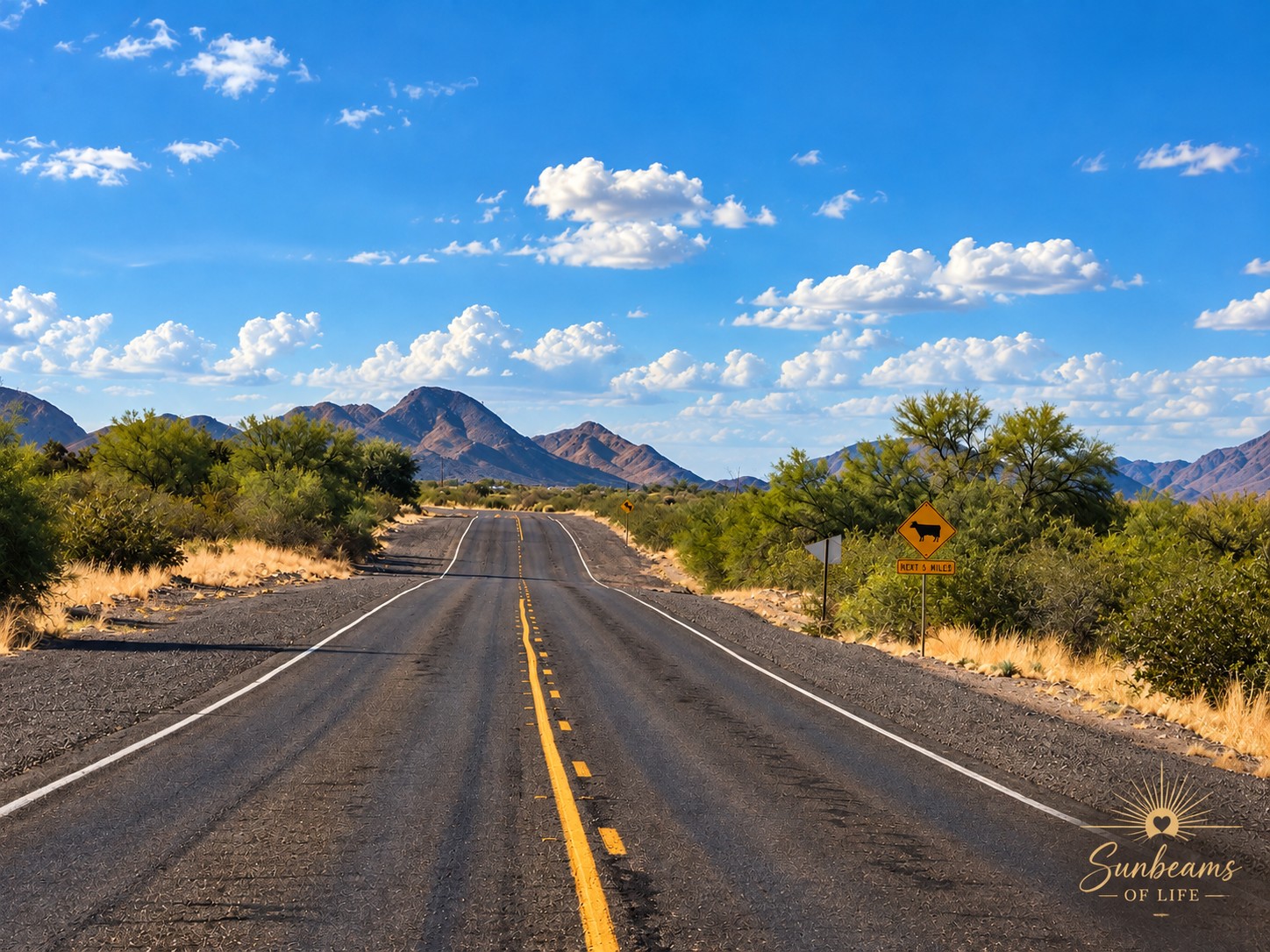 An open Arizona road leading toward desert mountains under a bright blue sky.