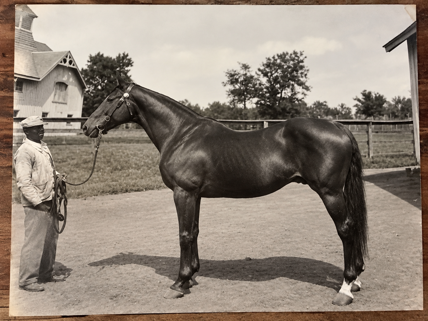 A historic black-and-white photograph of a thoroughbred horse and handler at Belle Meade, with the estate grounds and stable buildings behind them.