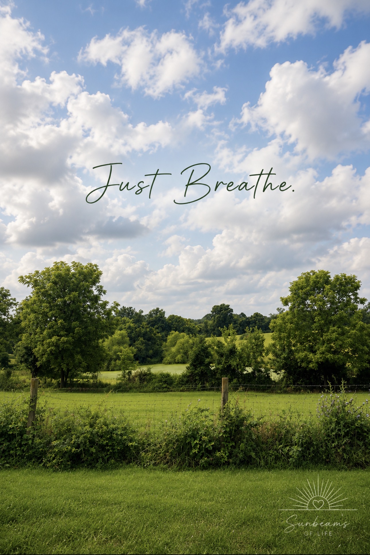 Kentucky countryside landscape near Taylorsville beneath an open sky