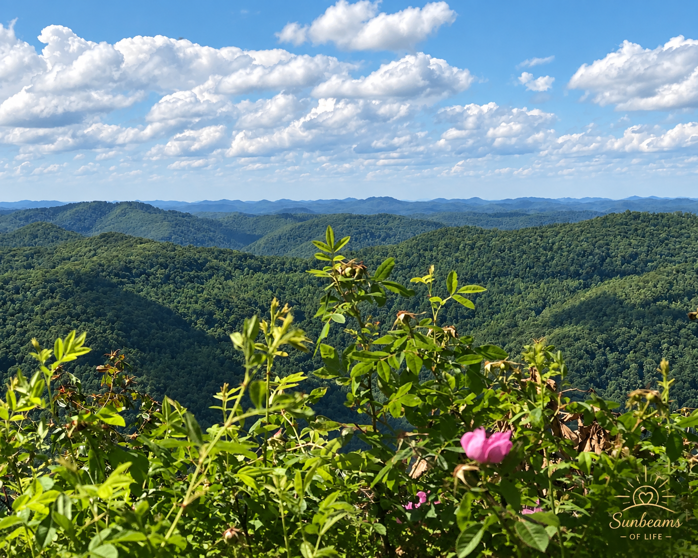 Kingdom Come State Park in eastern Kentucky, with layered forested mountain ridges beneath a wide blue sky.