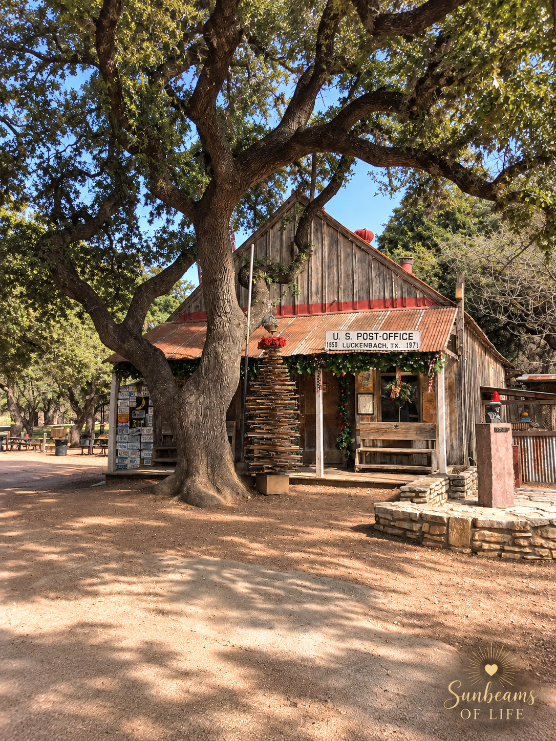 Historic Luckenbach post office and general store beneath a sprawling live oak in Luckenbach, Texas.