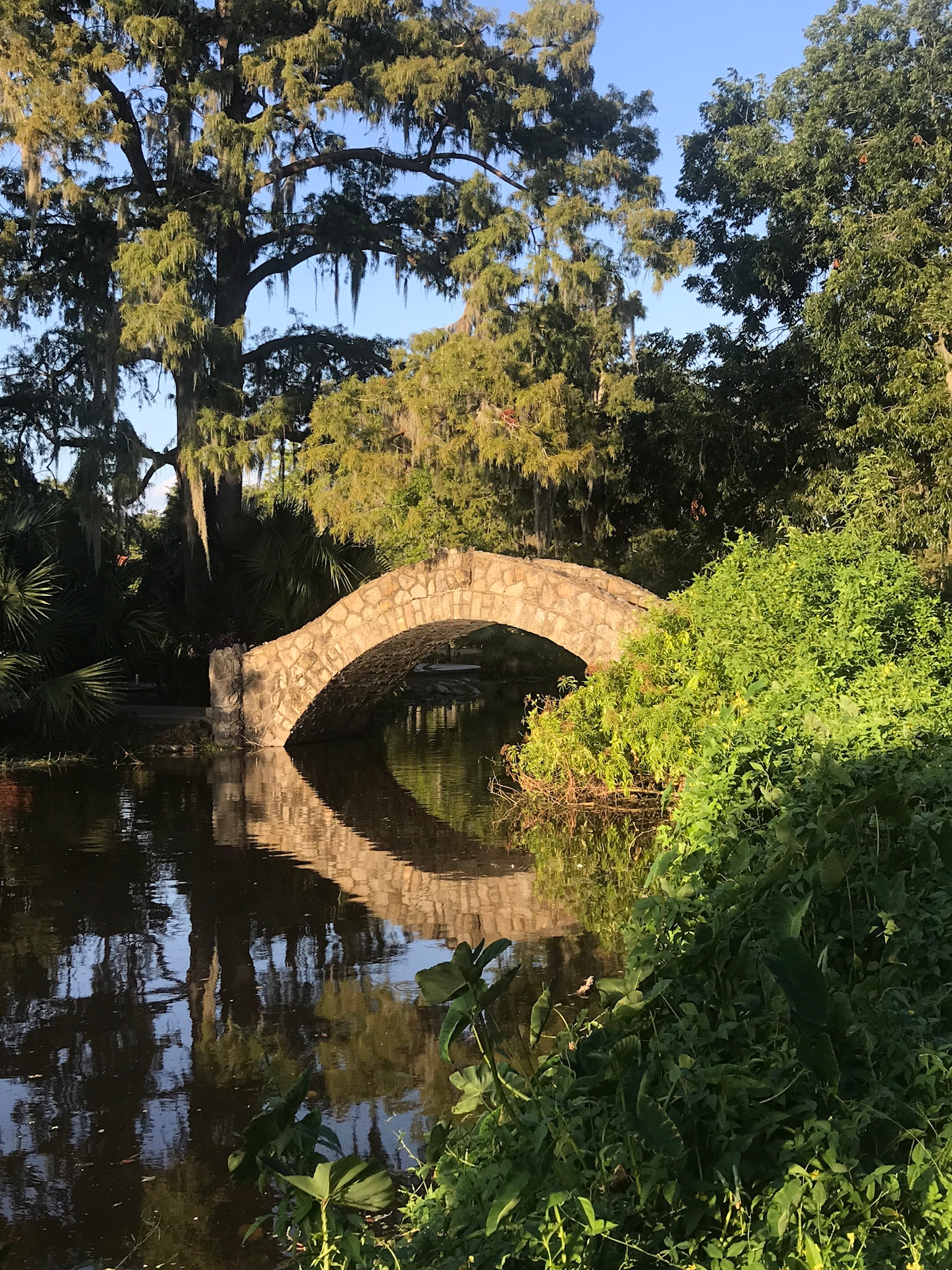 A stone bridge reflected in still water beneath large trees draped with Spanish moss in a New Orleans park.